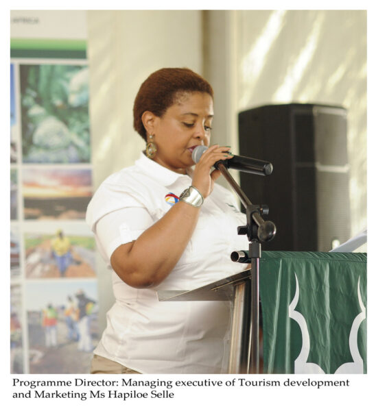 Programme Director