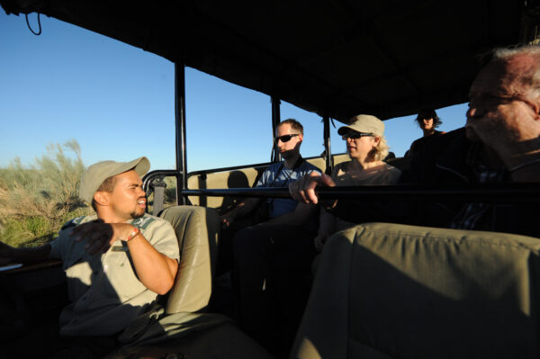 Sunset Game Drive