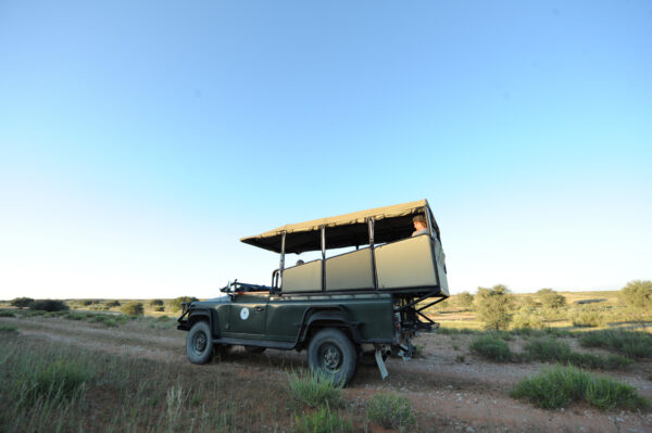 Sunset Game Drive