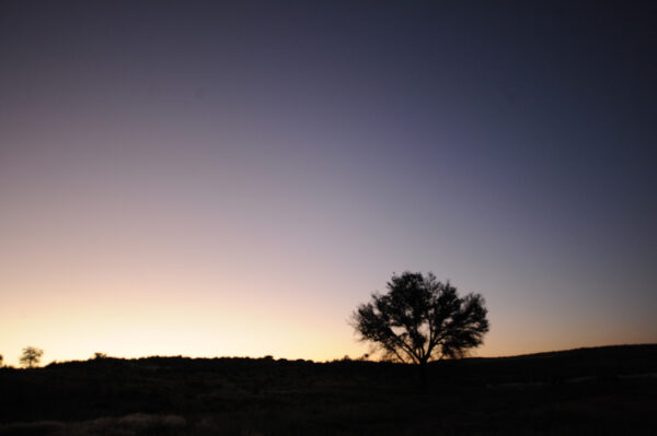 Sunset Lanscape