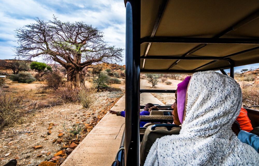 Mapungubwe Gamedrive