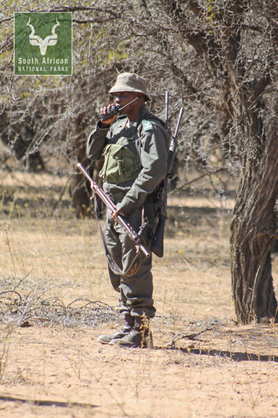 Presentation by rangers of work in the field_ranger reporting a possible scene