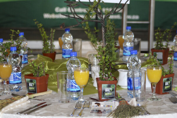 Table setup