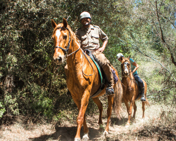 Horse Riding