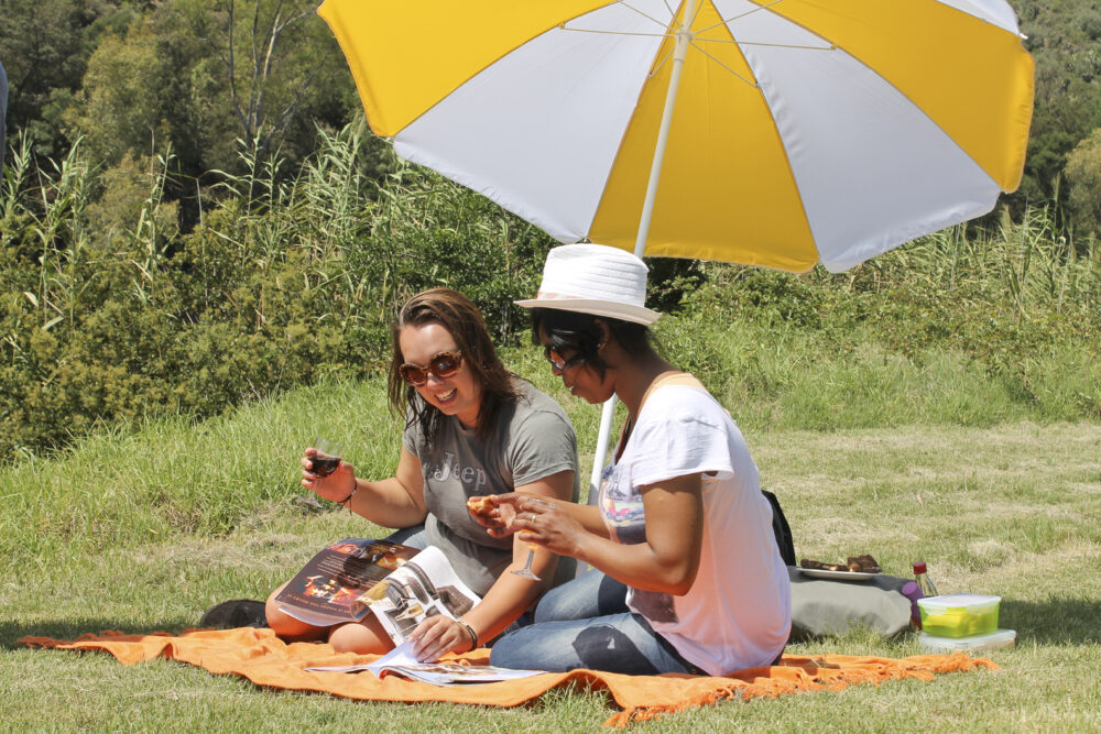 Picnic