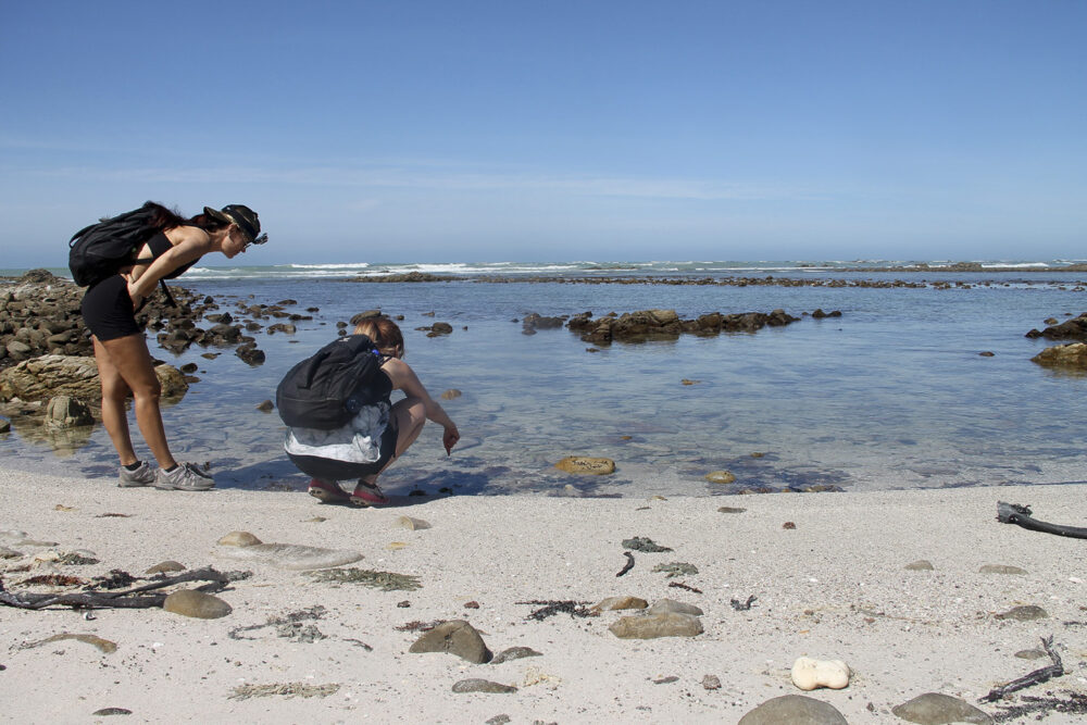 Two Oceans Hiking Trail