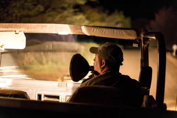 Night Drive