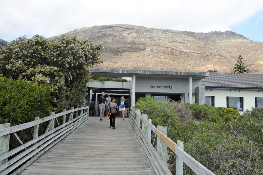 Boulders Beach (2)