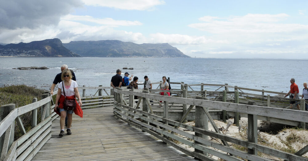 Boulders Beach (3)