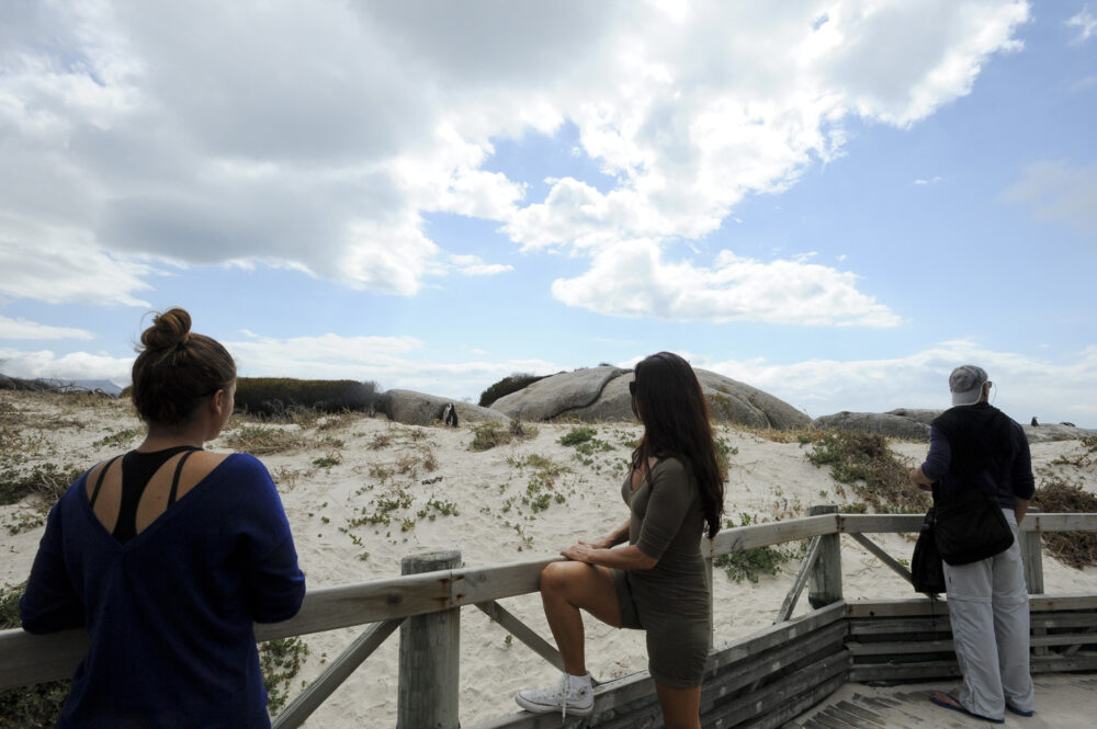Boulders Beach (4)
