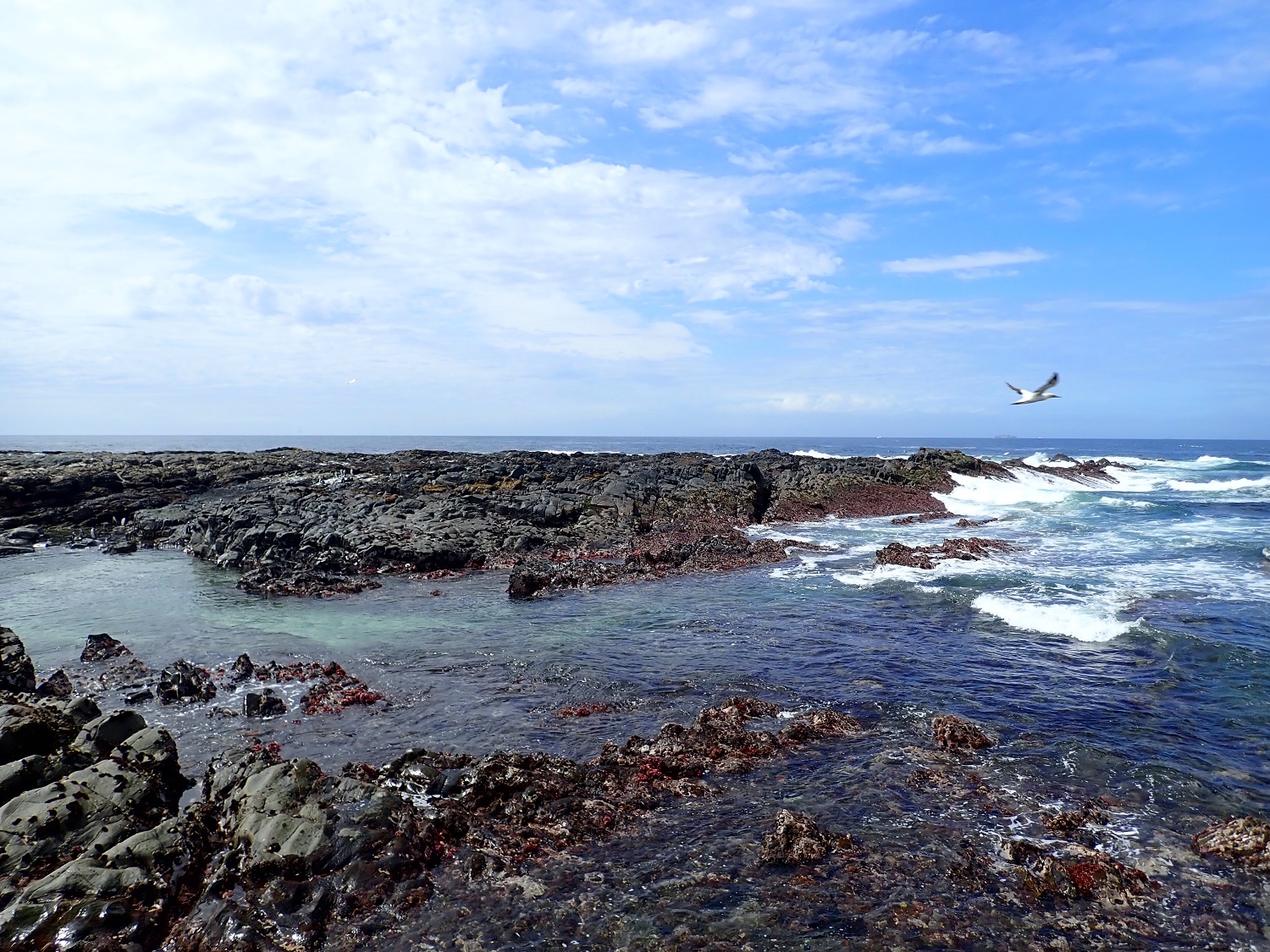 World Oceans Day – 8 June 2020