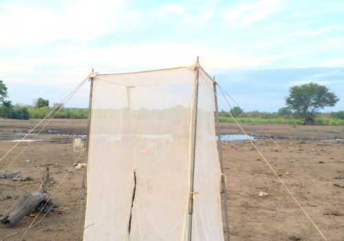 Human practices promote presence and abundance of disease transmitting mosquito species