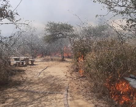 fire 4