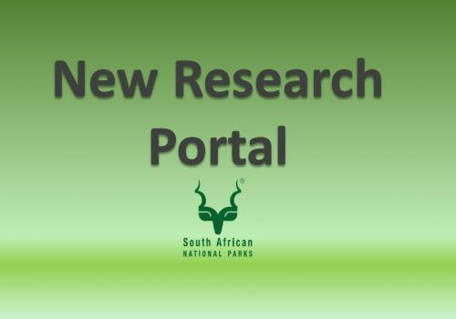 Project Registration goes online