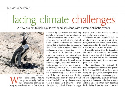 African Birdlife article: facing climate challenges