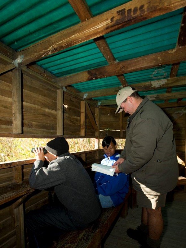 bird-hide4