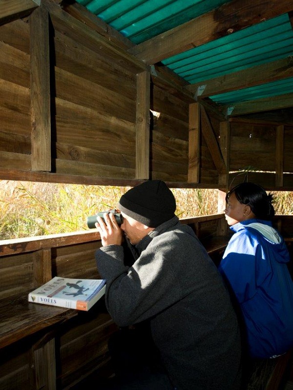bird-hide5