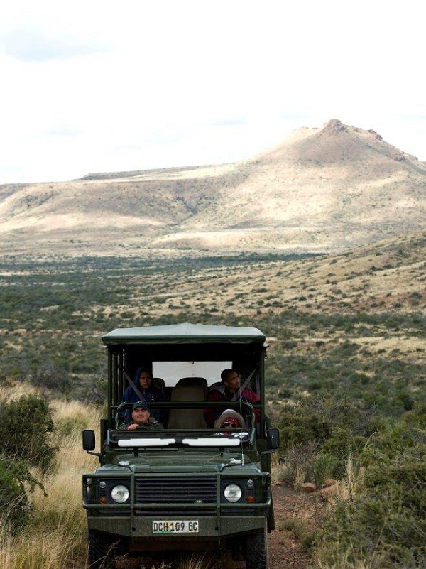 game-drive4