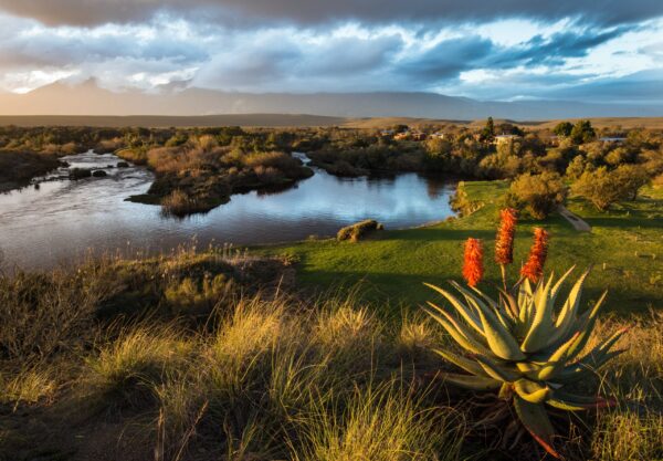 Bontebok National Park (1)