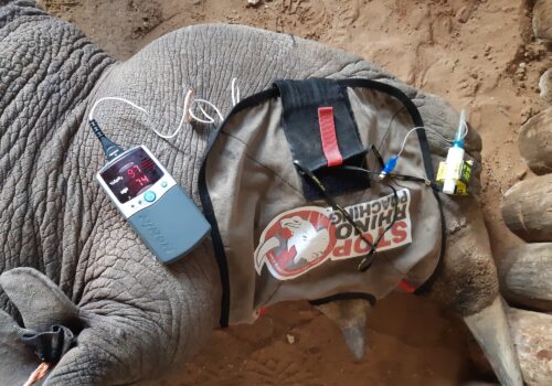 Anti-poaching Support