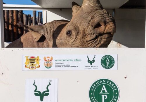 Conservation Projects – National and International