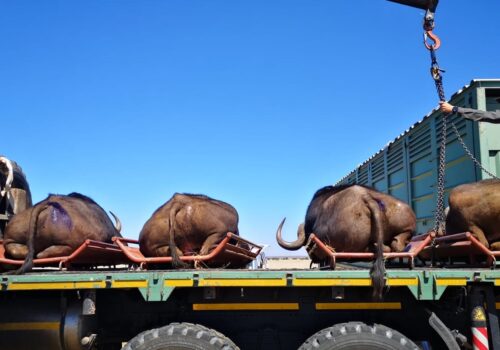 Income Generation through Game Sales and Wildlife Harvesting