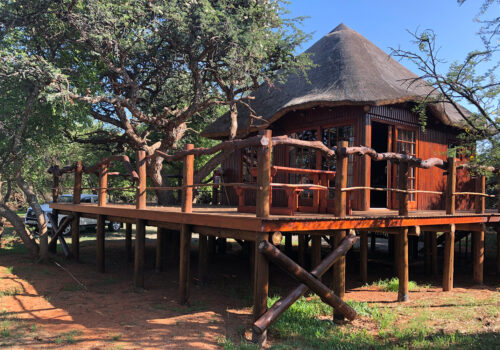 Dinokeng Tree Top Cottage