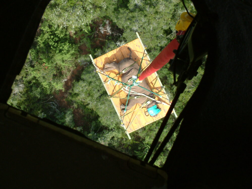 Picture 003 (1)