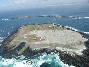 Bird Island
