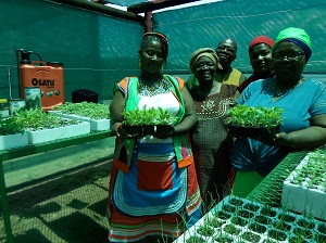 Camdeboo nursery