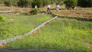Camdeboo land rehabilitation