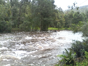 floods