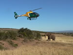 Hapoor Jnr vs Helicopter