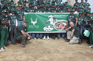 Keep KNP Clean