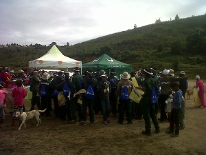 Knysna estuary clean-up