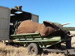Loading into Truck