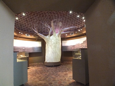mapungubwe interpretive centre baobab