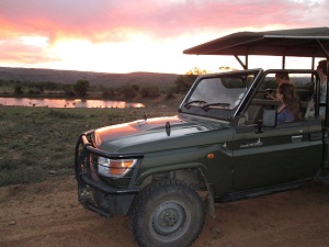 MZNP Sunset Drive