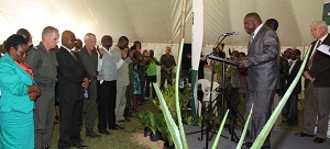 Rhino prayers