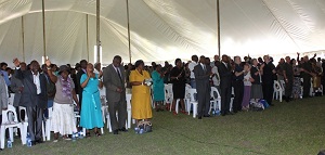 Rhino prayer