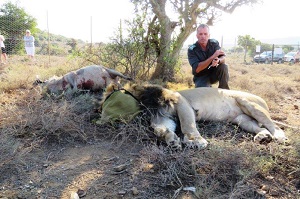 Sylvester, SANParks vet Dr Dave Zimmermann and a warthog kill they had waiting for him in the boma.
