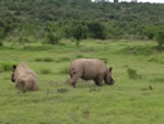 Thandi and Kapela wake up