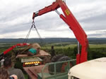Thandi tranquilised - moved from boma