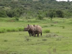 Thandi and Kapela survey new home