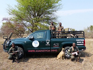 Unitrans fight rhino poaching