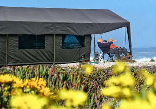 Picnic in the Namaqua Flowers