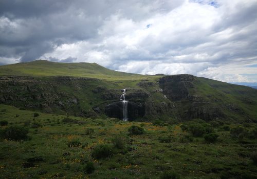 Exploring the biodiversity of the Grasslands National Park