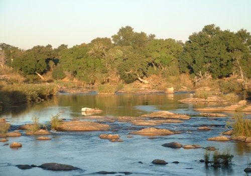 Do African parks charge adequate entrance fees?