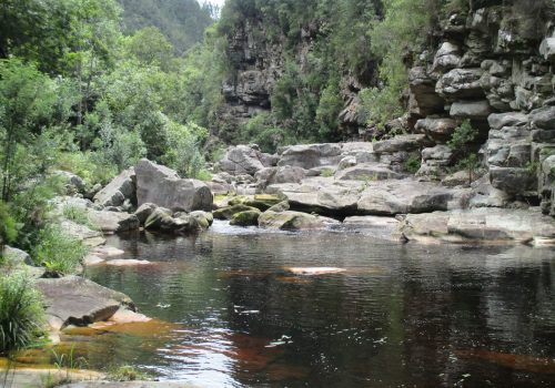 Wise management of ecological infrastructure for water security in the Garden Route