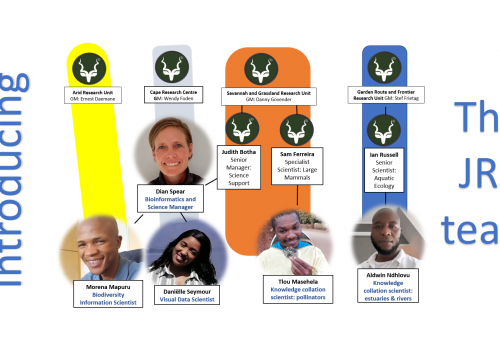 Introducing the new ‘JRS’ project team